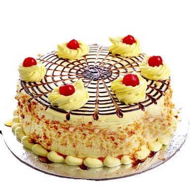 0025236 affable butterscotch cake 385 2 Floragalaxy