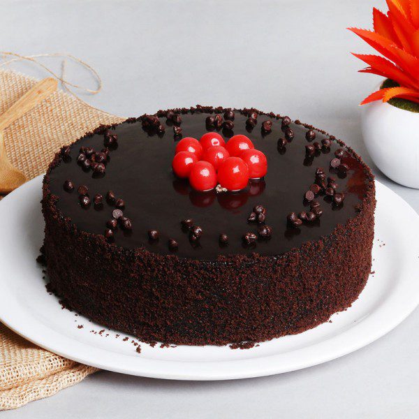 Chocolate Truffle Cake Floragalaxy